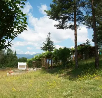 Photo 3 — Agricultural Land in Oblast Smolyan, Smolyan