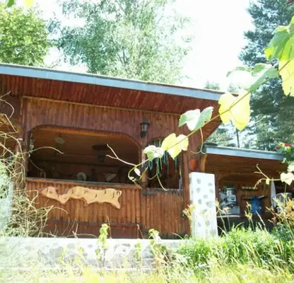 Photo 4 — Agricultural Land in Oblast Smolyan, Smolyan