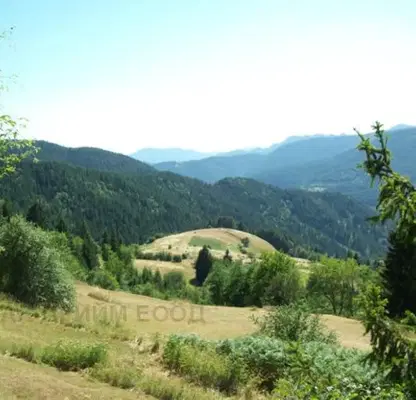 Photo 2 — Agricultural Land in Oblast Smolyan, Momchilovci