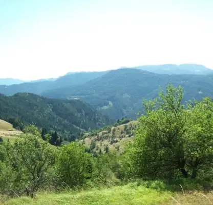 Photo 3 — Agricultural Land in Oblast Smolyan, Momchilovci