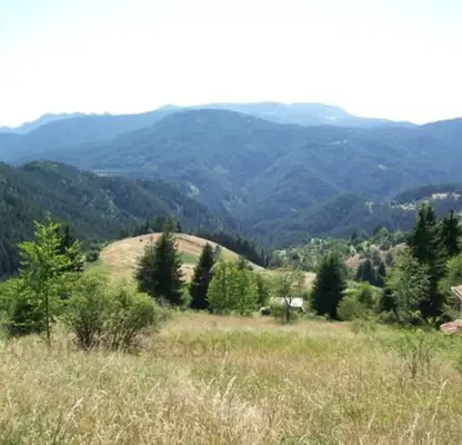Photo 4 — Agricultural Land in Oblast Smolyan, Momchilovci