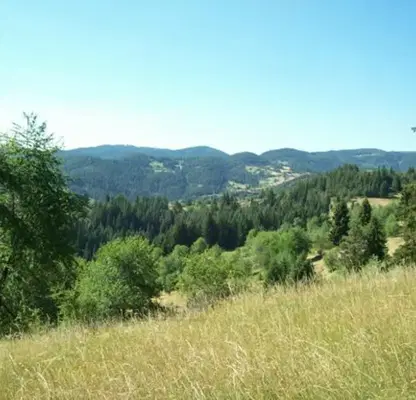 Photo 5 — Agricultural Land in Oblast Smolyan, Momchilovci