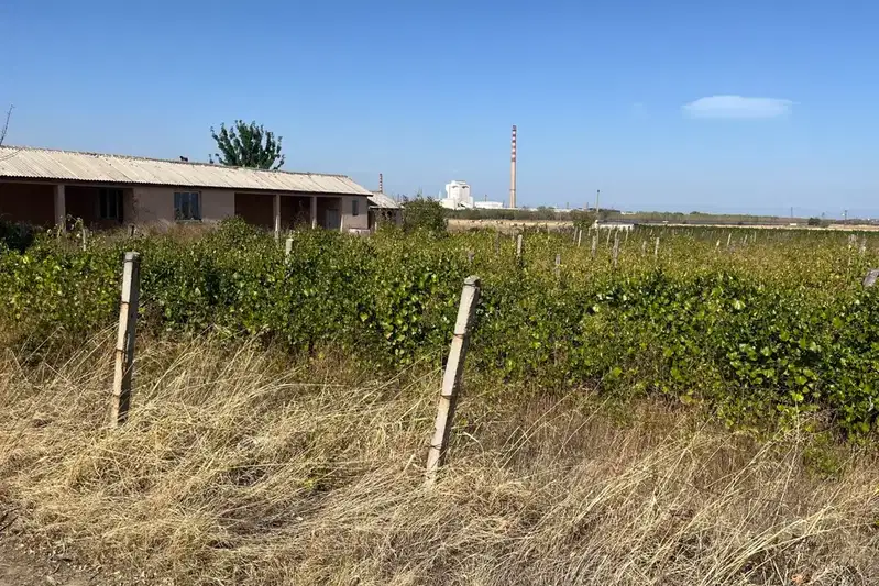 Agricultural Land in Oblast Plovdiv, Kuklen