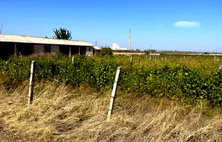 Земеделски имот в Пловдив, Куклен