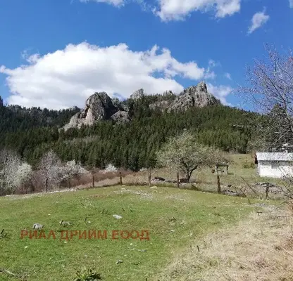 Photo 2 — Agricultural Land in Smolyan, Smolyan