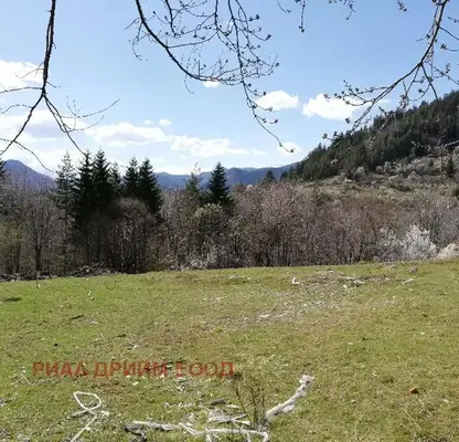 Photo 3 — Agricultural Land in Smolyan, Smolyan