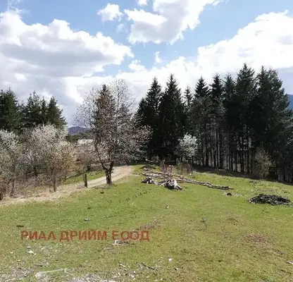 Photo 4 — Agricultural Land in Smolyan, Smolyan