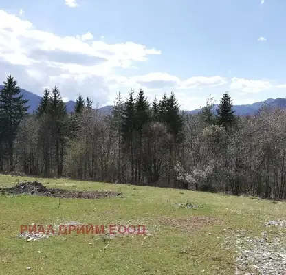 Photo 5 — Agricultural Land in Smolyan, Smolyan