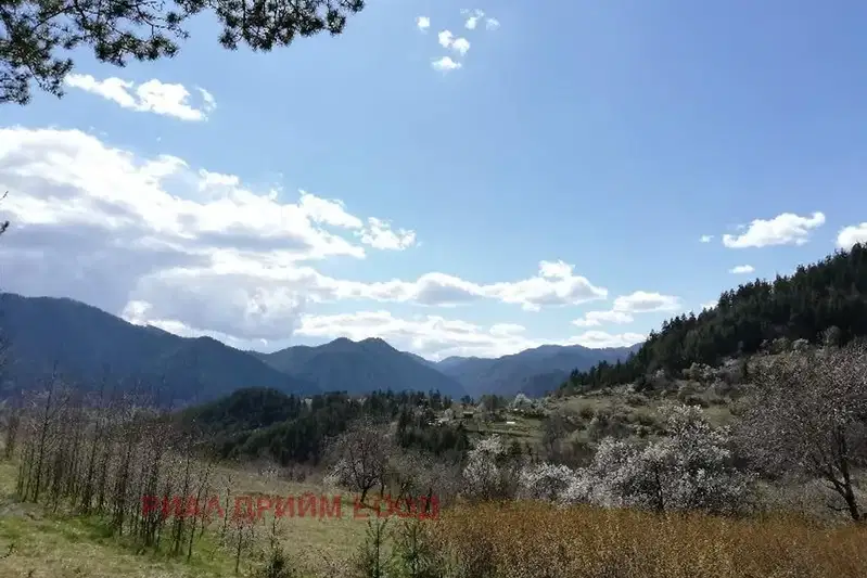 Agricultural Land in Smolyan, Smolyan