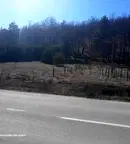Земеделски имот в Пазарджик, Велин