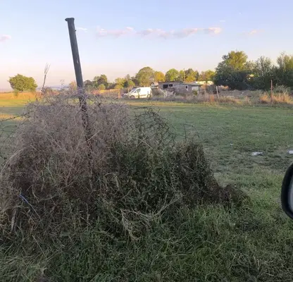 Photo 2 — Agricultural Land in област София, Elin Pelin