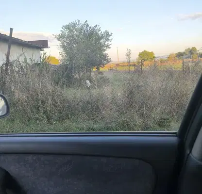 Photo 4 — Agricultural Land in област София, Elin Pelin