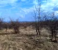 Снимка 4 — Парцел в Банкя