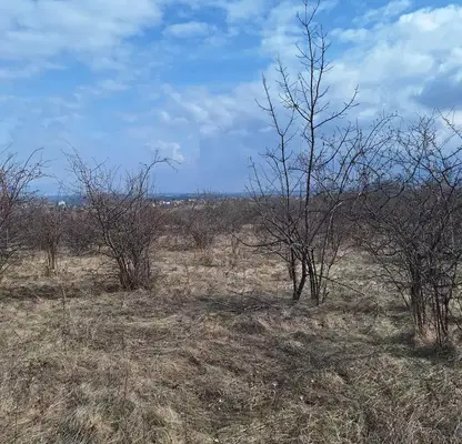 Photo 4 — Plot in Bankya