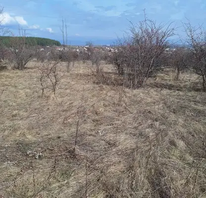 Photo 5 — Plot in Bankya