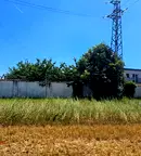 Парцел в с. Бусманци