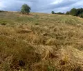 Снимка 5 — Парцел в Банкя