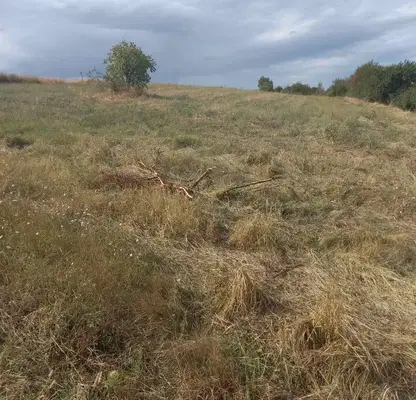 Снимка 5 — Парцел в Банкя