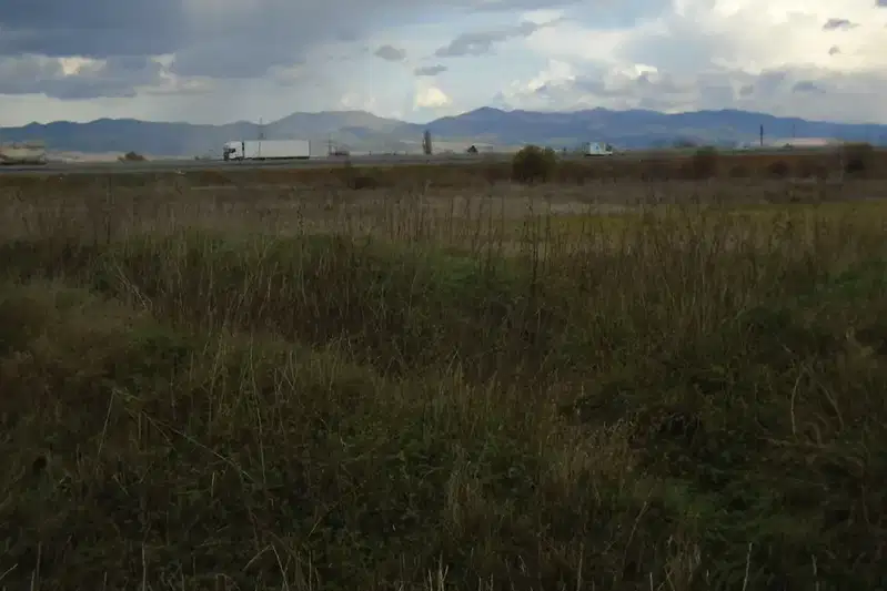 Plot in Sofiya, Benkovski