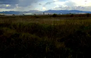 Парцел в София, Бенковски