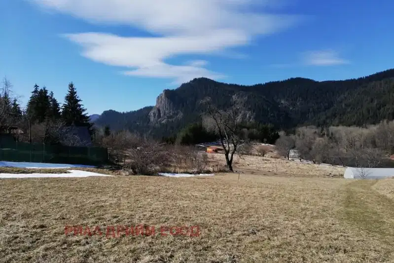 Plot in Smolyan, Ezerovo
