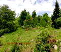 Снимка 4 — Парцел в Смолян, Езерово
