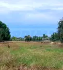 Парцел в Халкидики