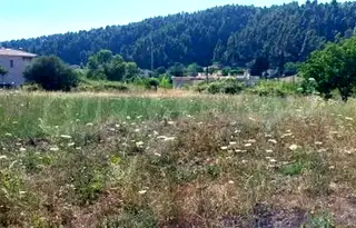 Парцел в Халкидики