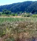 Парцел в Халкидики