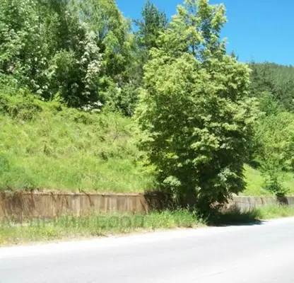 Photo 2 — Plot in Smolyan, Prom. Zona - Trandevica