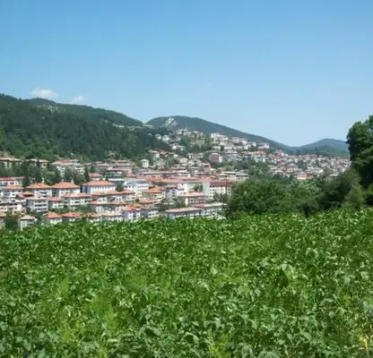 Photo 2 — Plot in Smolyan, Star Centyr