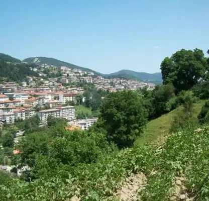 Photo 5 — Plot in Smolyan, Star Centyr