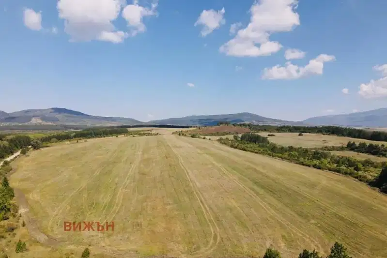 Plot in Pernik, Teva