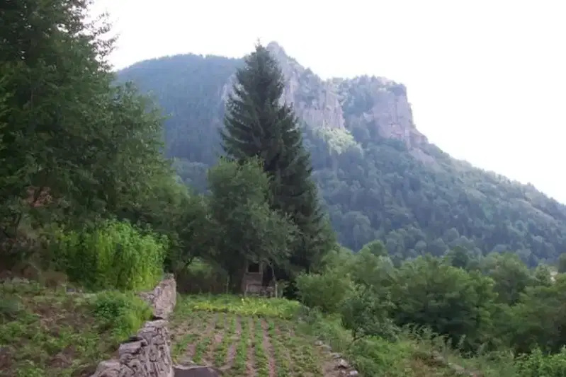 Plot in Smolyan, Smolyan