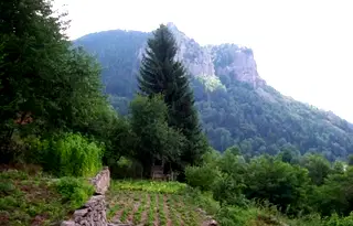 Парцел в Смолян, в.з. Смолян