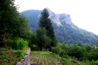 Парцел в Смолян, в.з. Смолян