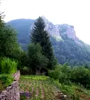 Парцел в Смолян, в.з. Смолян