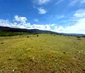 Снимка 2 — Парцел в Благоевград, с. Огняново