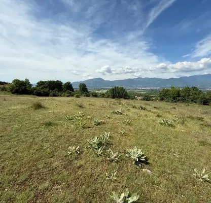 Photo 3 — Plot in Oblast Blagoevgrad, Ognyanovo