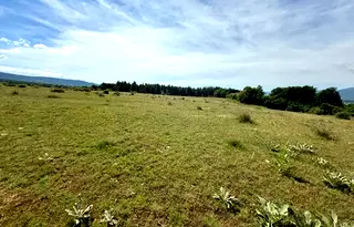 Парцел в Благоевград, с. Огняново