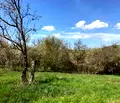 Снимка 3 — Парцел в Габрово, с. Сенник