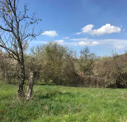 Снимка 3 — Парцел в Габрово, с. Сенник