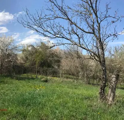 Снимка 4 — Парцел в Габрово, с. Сенник