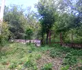 Снимка 3 — Парцел в Габрово, с. Сенник