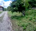 Снимка 4 — Парцел в Габрово, с. Сенник