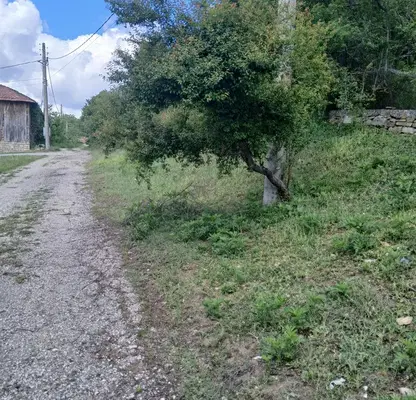 Снимка 4 — Парцел в Габрово, с. Сенник