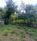 Парцел в Габрово, с. Сенник