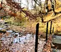 Снимка 5 — Парцел в Ловеч, с. Рибарица
