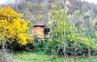Парцел в Ловеч, с. Рибарица