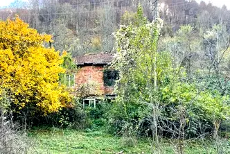 Парцел в Ловеч, с. Рибарица